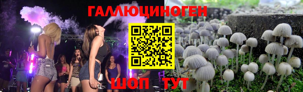Галлюциногенные грибы мухоморы  Галлюциногенные грибы Psilocybe  что такое   Вход с VPN  Кумертау 